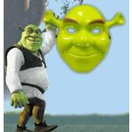 Nessi World Yeşil Shrek Maskesi 21x25 cm