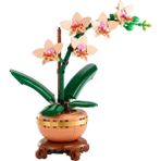 Nessiworld Botanicals Mini Orkide 10343 - Çok Renkli