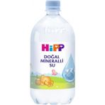 Nessiworld Hipp Doğal Mineralli Su 1 Lt