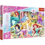 NessiWorld PUZZLE-14294 Princess 24 Parça Maxi Çocuk Puzzle