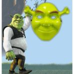 Nessiworld Yeşil Shrek Maskesi 21X25 Cm