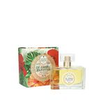 Nesti Dante No 9 De Ambra Papaver EDP 100 ml Kadın Parfüm