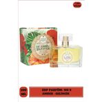 Nesti Dante No 9 De Ambra Papaver EDP 100 ml Kadın Parfüm
