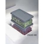 Nesto Home 2'li Set Derin 2500 ml Buzdolabı Düzenleyici Buzluk ve Mikrodalga Saklama Kabı 2X2500 - Gri