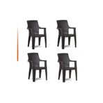 Netbazaars Plastik Sandalye 4 Adet Gold Balkon Bahçe Kamp Mobilya (Acı Kahve) Xömbx98