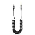 Nettech NT-AC10 Plastik 100 cm Akardiyon Jack to Lightning Siyah Aux Kablo