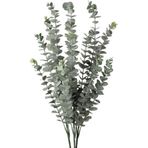 Netten Evime 3lü Set Yapay Çiçek Pastel Yeşil Okaliptus 3Dallı Uzun Dal 76 cm Eucalyptus