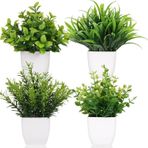 Netten Evime 4lü Set Yapay Çiçek Beyaz Saksıda 4 Çeşit Yeşil Bitki