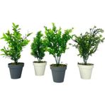 Netten Evime 4lü Set Yapay Çiçek Mini Saksıda Yeşil Bitkiler 30cm