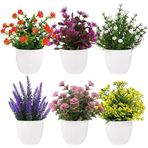 Netten Evime 6lı Set Yapay Çiçek Beyaz Saksıda 6 Çeşit Renkli Çiçekler