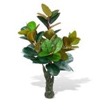 Netten Evime Yapay Ağaç Kauçuk Ağacı Ficus Elastica Salon Çiçeği 150*90 Doğal Gövdeli 61 Yaprak