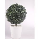 Netten Evime Yapay Ağaç Şimşir Top Tek Toplu 20x35cm Seramik Saksılı