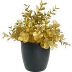 Netten Evime Yapay Çiçek Gold Renk Şimşir Siyah Saksıda Siyah Plastik Saksılı Dekoratif Süs Çiçeği