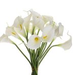 Netten Evime Yapay Çiçek Islak Gala Gerçeksi Eva Malzeme Cala Flower 8li BEYAZ