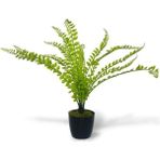 Netten Evime Yapay Çiçek Islak Sıkas Yukka 15yaprak 50cm Salon Çiçeği Plastik Siyah Saksılı Yapay Bitki