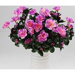 Netten Evime Yapay Çiçek Lila Açık Açelya Demeti 7 Dallı 33*20cm