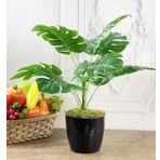 Netten Evime Yapay Çiçek Monstera 9 Dal Siyah Plastik Saksılı Deve Tabanı Dekoratif Süs Çiçeği