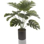 Netten Evime Yapay Çiçek Monstera Deve Tabanı Siyah Saksılı Salon Çiçeği 12 Yaprak