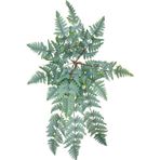 Netten Evime Yapay Çiçek Pastel Cycas Aşk Merdiveni 80cm Eğrelti Otu Sıkas Bitkisi 12 Yaprak 40*80cm Yapay Bitki