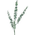 Netten Evime Yapay Çiçek Pastel Yeşil Okaliptus 3Dallı Uzun Dal 76cm Eucalyptus