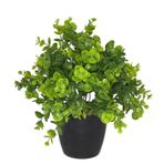 Netten Evime Yapay Çiçek Şimşir Eucalyptus Yapay Bitki Siyah Plastik Saksılı Dekoratif Süs Çiçeği