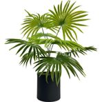 Netten Evime Yapay Çiçek Yelpaze Palmiye 8 Dal 50*40cm Salon Çiçeği Metal Mat Siyah Saksılı Yapay Bitki