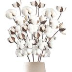 Nettenevime 3lü Set Doğal Pamuk Çiçeği 9lu Kuru Çiçek 60cm Yapay Çiçek