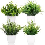 nettenevime 4lü Set Yapay Çiçek Beyaz Saksıda 4 Çeşit Yeşil Bitki
