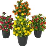 nettenevime 4lü Set Yapay Çiçek Kiraz Nar Limon Ve Mandalina Ağacı Siyah Saksıda 30cm