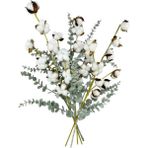 Nettenevime 5li Set Doğal Pamuk Ve Okaliptus Çiçeği Kuru Çiçek Yapay Çiçek 3+2 Mix Beyaz