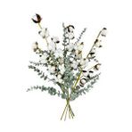Nettenevime 5li Set Doğal Pamuk Ve Okaliptus Çiçeği Kuru Çiçek Yapay Çiçek 3+2 Mix
