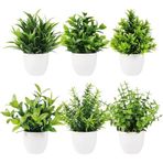 nettenevime 6lı Set Yapay Çiçek Beyaz Saksıda 6 Çeşit Yeşil Bitki