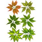 Nettenevime 6li Set Yapay Çiçek Yeşillik Bitki Dik Duvar Uygulama Çiçeği 11 Yaprak 6dal 30*25cm Renksiz