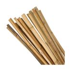 nettenevime Bambu Sopası 180 cm 16 -18mm Bambu Çubuğu 5 ADET