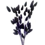 Nettenevime Kuru Çiçek Doğal Koyu Lacivert Pamuk Otu 10gram 1. Kalite Şoklanmış Bozulmaz Lacivert