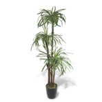 nettenevime Yapay Ağaç Islak Dracaena Ağacı 3Gövdeli 150*60cm Premium Kalite
