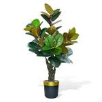 nettenevime Yapay Ağaç Kauçuk Ağacı Metal Gold Kemerli Saksıda Ficus Elastica Salon Çiçeği 150*90 61 Yaprak
