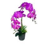 Nettenevime Yapay Çiçek 2li Fuşya Islak Orkide Seramik Saksıda Orkide 60cm Pembe