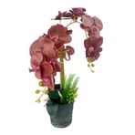 Nettenevime Yapay Çiçek 2Li Islak Pastel Bordo Orkide Seramik Saksıda Orkide 60Cm