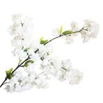 Nettenevime Yapay Çiçek Bahar Dalı Japon Kiraz Çiçeği 90 Cm Beyaz Renksiz