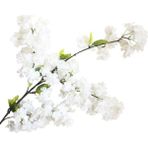Nettenevime Yapay Çiçek Bahar Dalı Japon Kiraz Çiçeği 90 Cm Beyaz