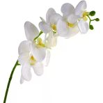Nettenevime Yapay Çiçek Beyaz Islak Orkide Uzun Dal 90 Cm Orkide