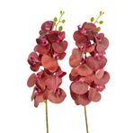 Nettenevime Yapay Çiçek Bordo Koyu Islak Orkide Gerçeksi Doku Uzun Dal 90 Cm