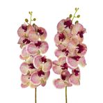Nettenevime Yapay Çiçek Çilli Pembe Islak Orkide Gerçeksi Doku Uzun Dal 90 Cm