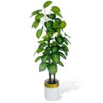 Nettenevime Yapay Çiçek Difenbahya Sarı Yeşil 3katlı 160cm 54yaprak Gold Kemerli Beyaz Saksıda Yapay Bitki
