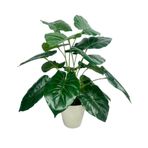 Nettenevime Yapay Çiçek Difenbahya Yeşil Salon Çiçeği 50Cm Beyaz Saksılı Yapay Bitki