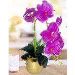 Nettenevime Yapay Çiçek Fuşya Islak Orkide Gold Metal Saksıda Seramik Saksıda Orkide 60Cm
