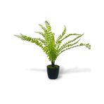 nettenevime Yapay Çiçek Islak Sıkas Yukka 15yaprak 50cm Salon Çiçeği Plastik Siyah Saksılı Yapay Bitki