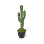 nettenevime Yapay Çiçek Kaktüs Ağacı 3Kollu Siyah Saksıda 56*15cm sk4019