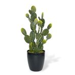 nettenevime Yapay Çiçek Kaktüs Ağacı Tavşan Kulağı Siyah Saksıda 3lüset 73*30cm sk4021